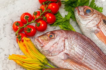 Seafood on ice at the fish market