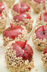 candied apples