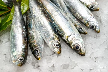 Foto op Plexiglas Vis Verse sardines op ijs.