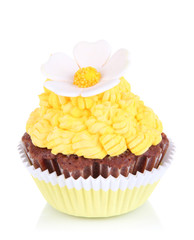 Delicious beautiful cupcake isolated on white