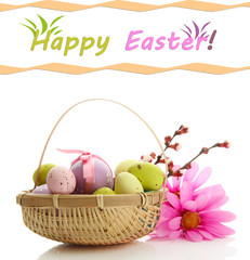 Beautiful Easter eggs and apricot blossom in basket, isolated