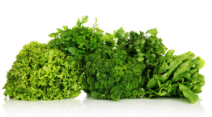 Fototapeta premium Useful herbs isolated on white