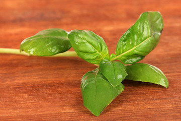 Green fresh basil on wooden background