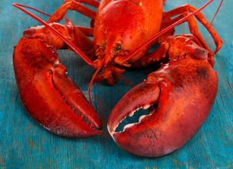 Red lobster on wooden table close-up