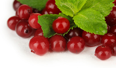Ripe red cranberries, isolated on white.