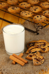Chocolate cookies on the baking with glass of milk close up