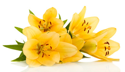 Beautiful orange lilies, isolated on white