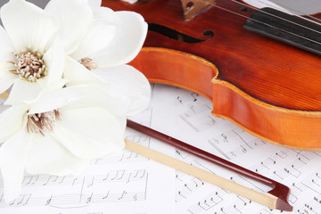 Obraz na płótnie Canvas Classical violin on notes