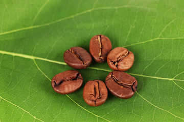 Coffee grains on green leaf close-up