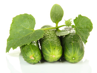 Tasty green cucumbers, isolated on white