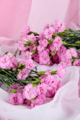 Many small pink cloves on light fabric background