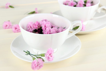 Many small pink cloves in cups on wooden background