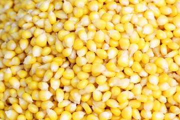Sweet corns
