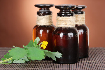 Blooming Celandine with medicine bottles