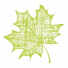 Maple-leaf.