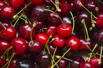 Cherry selection