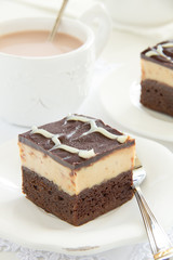 Brownies with peanuts and chocolate.