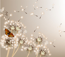 Abstract background with vector dandelions