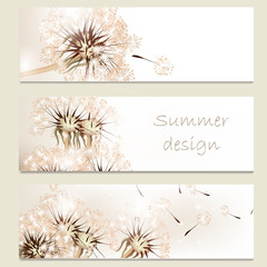 Abstract business vector cards set with dandelions  for design
