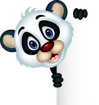cute panda cartoon posing