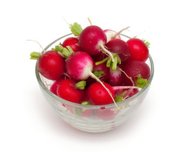 fresh radish