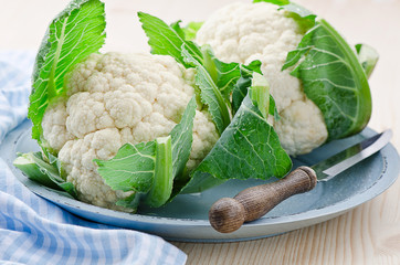 Blumenkohl