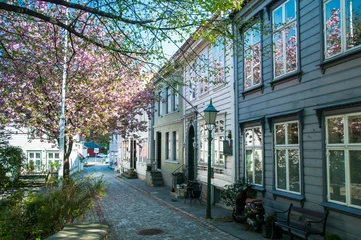 Abwaschbare Fototapete Skandinavien calle de bergen
