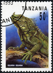 stamp printed in Tanzania shows iguana iguana