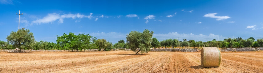 Sheaves of straw, Apulia region