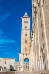 Fototapeta na wymiar Trani katedra