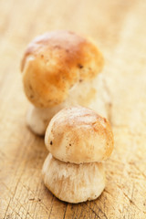 cep mushrooms on kitchen wooden board, for cooking