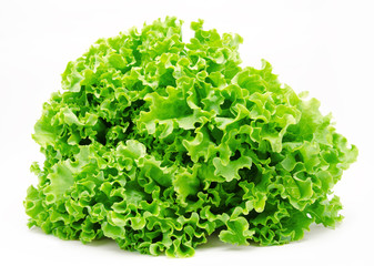 Obraz na płótnie Canvas Fresh green lettuce isolated