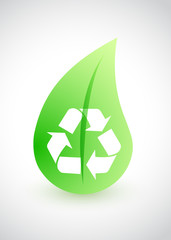 Recycling - environmental conception with leaf