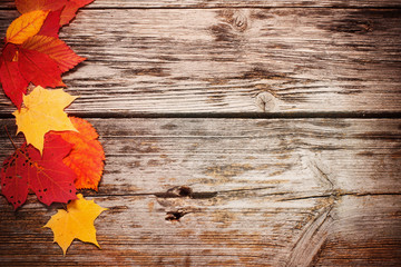 Autumn leaves over wooden background