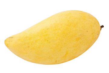 Fresh yellow mango