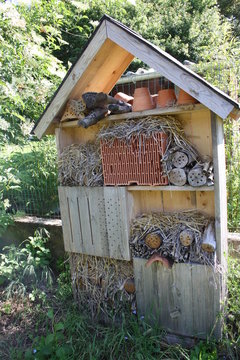 h&ocirc;tel &agrave; insectes