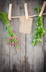 medicine herbs and paper attach to rope with clothes pins