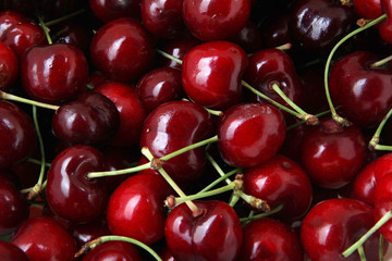Sweet cherry