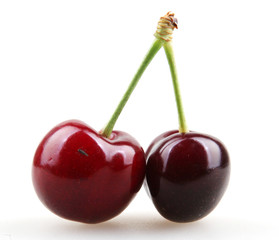 Sweet cherry