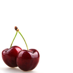 Sweet cherry