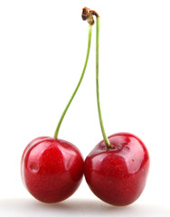 Sweet cherry