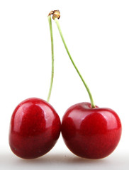 Sweet cherry
