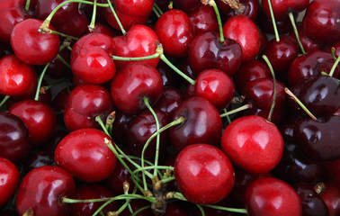 Sweet cherry
