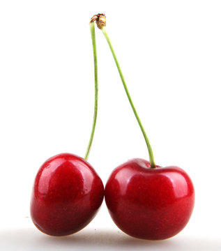Sweet cherry
