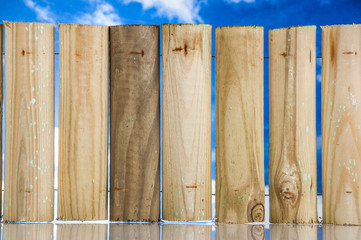 Garden stuff on bright blue background