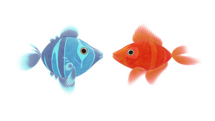 Fototapeta premium red and blue fish