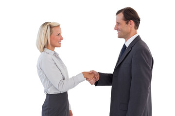 Fototapeta premium Smiling business people shaking hands