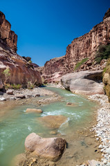 Fototapeta na wymiar Wadi Hasa creek in Jordan