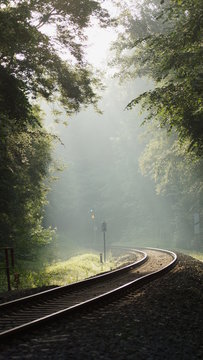 bahngleise und licht durch die b&auml;ume - fahrt ins licht