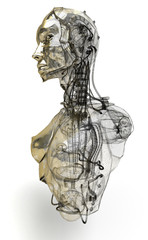 Cyborg, robot, Androide volto, 3d, informatica, computer